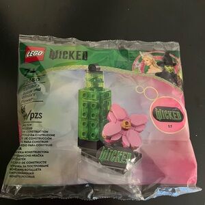 LEGO Wicked Elphaba's Green and Pink Set
